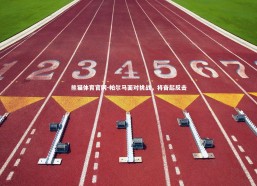 熊猫体育官网-帕尔马面对挑战，将奋起反击