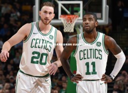 熊猫体育官网-沃尔夫斯堡主场溃败 欧战前景风雨飘摇