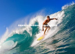 熊猫体育官网-伊布欧冠经典，生涯全进球辉煌历程