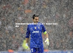 熊猫体育官网-魁北克明星球员率队南下 激战嘉年华盛大赛事