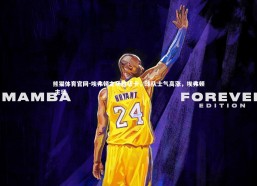 熊猫体育官网-埃弗顿主场胜纽卡，球队士气高涨，埃弗顿 主场