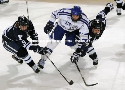 熊猫体育官网-施图加特客场负于对手，战绩略显逊色，斯图加特as