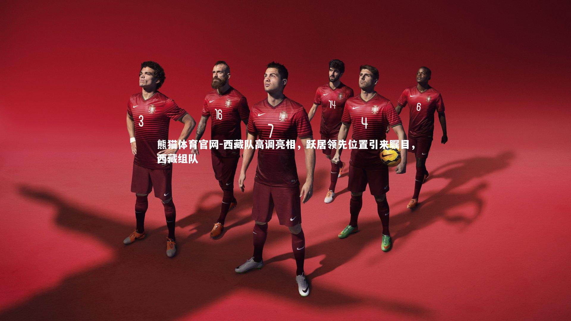 西藏队高调亮相，跃居领先位置引来瞩目，西藏组队