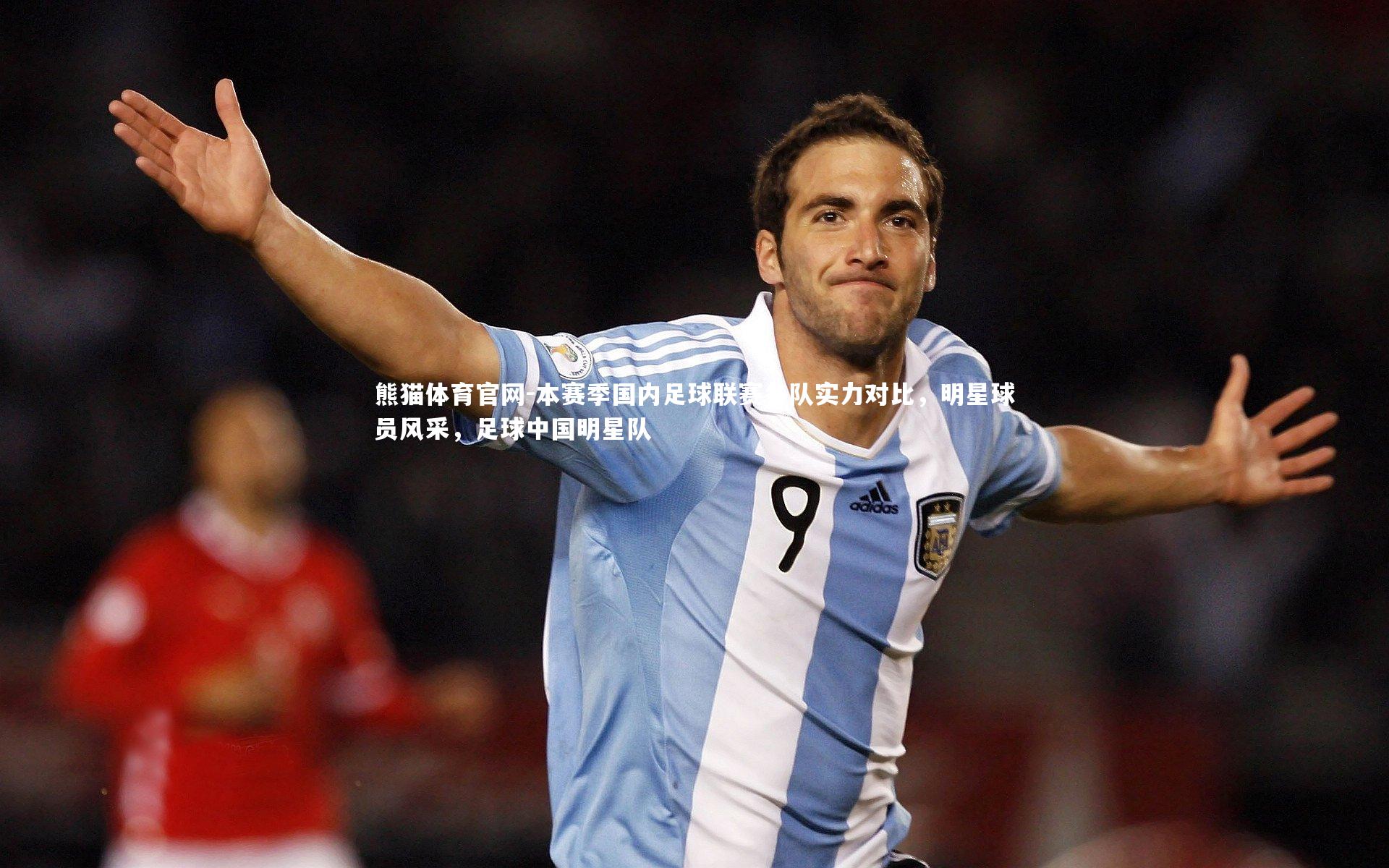 熊猫体育官网-本赛季国内足球联赛各队实力对比,明星球员风采,足球中国明星队