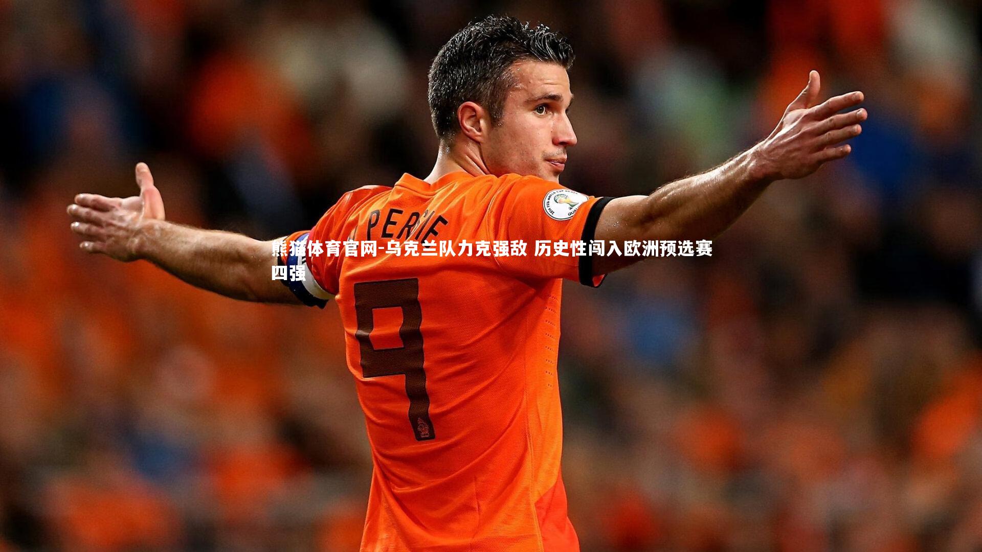 乌克兰队力克强敌 历史性闯入欧洲预选赛四强